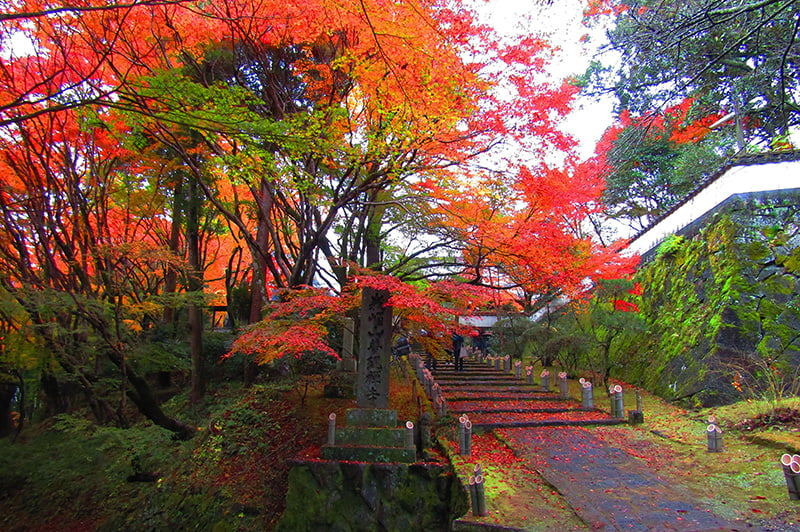 普現寺（紅葉）の写真