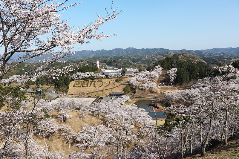 吉四六まつりの写真