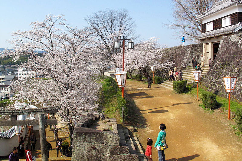 臼杵城址桜まつりの写真