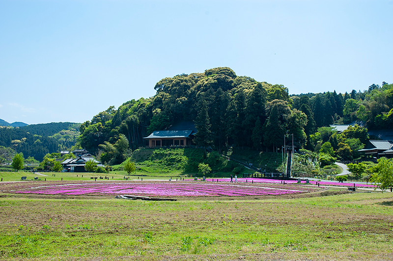 石仏公園の写真