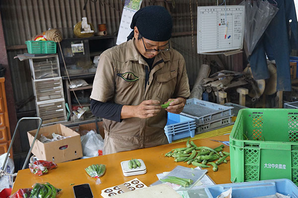 野菜を検品している光景の画像