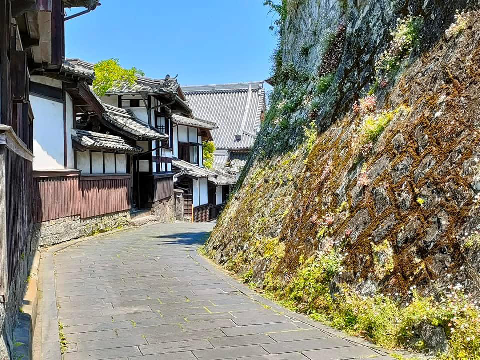 旧真光寺前の石垣