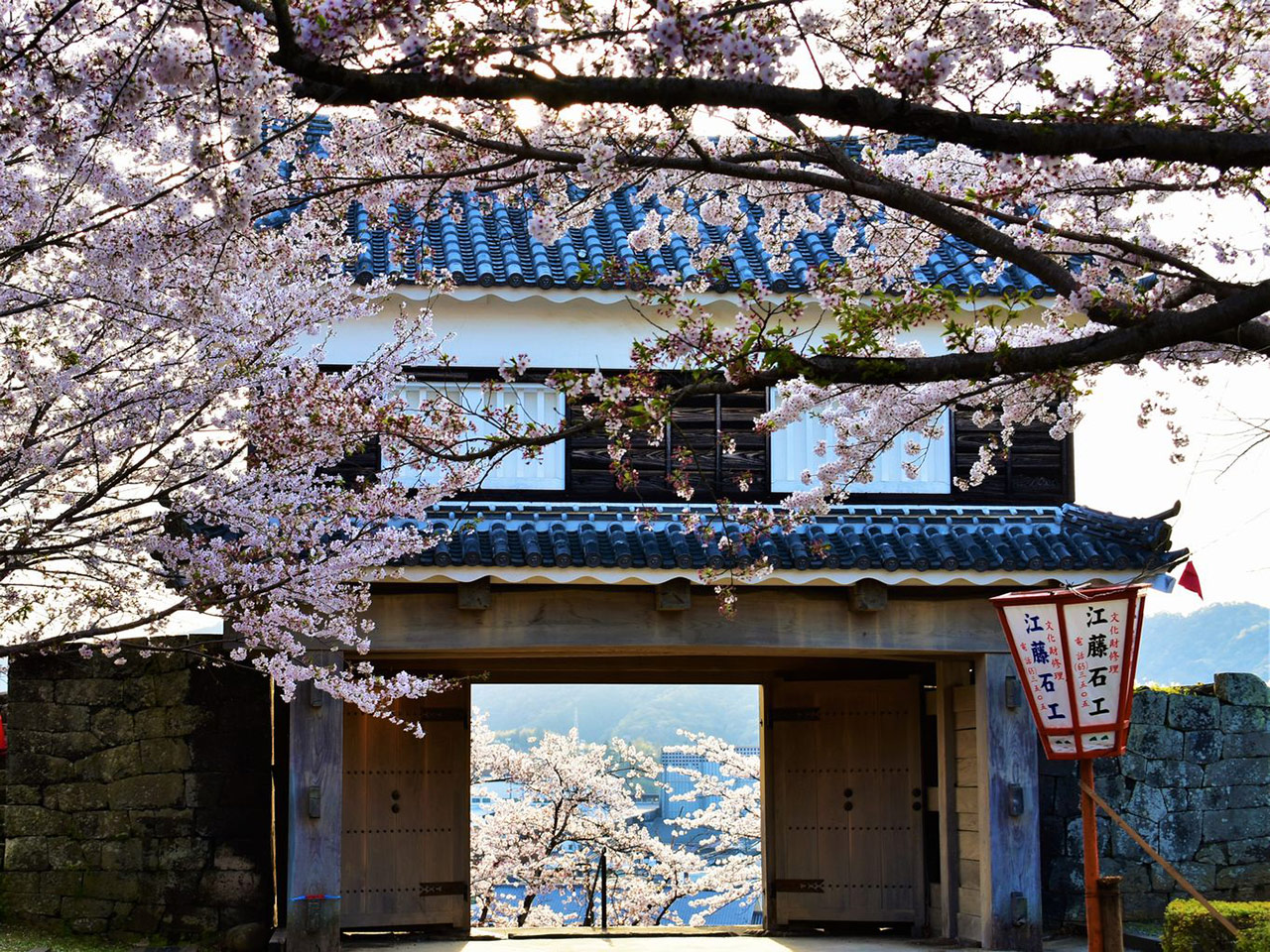 臼杵城址桜