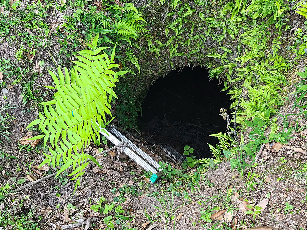 一ツ木かくれキリシタン地下礼拝堂